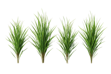 Four Bundles of Artificial Green Grass on Transparent Background, PNG