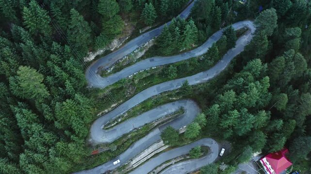 Aerial view of a winding mountain road surrounded by dense pine forest in Manali, Himachal Pradesh. Scenic hairpin bends and lush greenery capture the beauty of Himalayan hill roads.