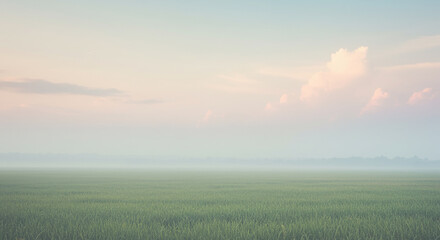 Fototapeta premium Tranquil landscape of green field under a soft pastel sky perfect for a website background