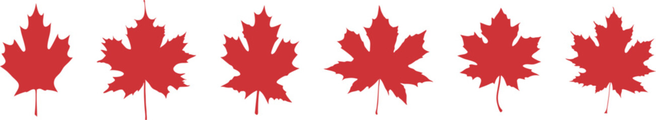 Maple leaf vector icon, maple leaf vector illustration, maple leaf vector shape icon, Forest and wood symbol sign vector illustration