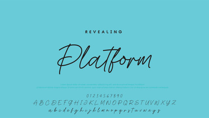 Hand drawn vector alphabet. Modern monoline signature script font. Elegant Signature Font. Best Alphabet Beautiful Calligraphy Signature Font