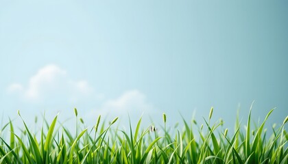 Fototapeta premium an expansive view of a vibrant green field, dotted with lush grass under a clear blue sky