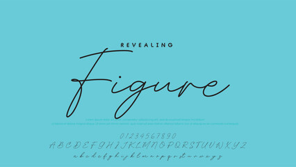 Hand drawn vector alphabet. Modern monoline signature script font. Elegant Signature Font. Best Alphabet Beautiful Calligraphy Signature Font