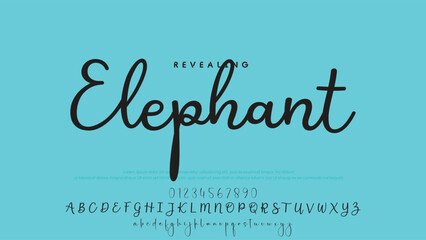 Hand drawn vector alphabet. Modern monoline signature script font. Elegant Signature Font. Best Alphabet Beautiful Calligraphy Signature Font