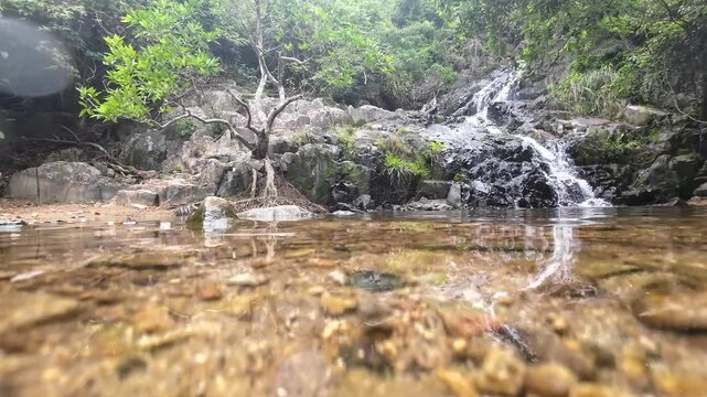Tranquil Siu Chik Sha River Flowing Through Forest Landscape May 10 2025