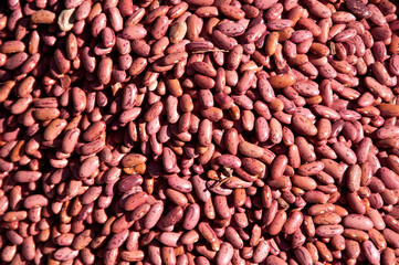 Row healthy grains food background