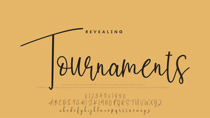 Hand drawn vector alphabet. Modern monoline signature script font. Elegant Signature Font. Best Alphabet Beautiful Calligraphy Signature Font