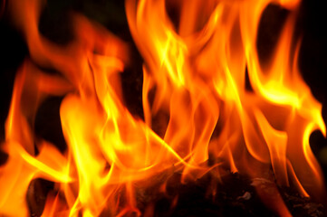 Fototapeta premium Fire flames on black background.