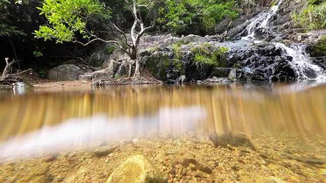 Tranquil Siu Chik Sha River Flowing Through Forest Landscape May 10 2025