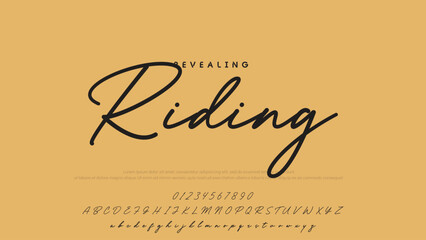 Hand drawn vector alphabet. Modern monoline signature script font. Elegant Signature Font. Best Alphabet Beautiful Calligraphy Signature Font