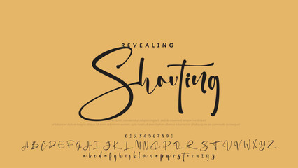 Hand drawn vector alphabet. Modern monoline signature script font. Elegant Signature Font. Best Alphabet Beautiful Calligraphy Signature Font