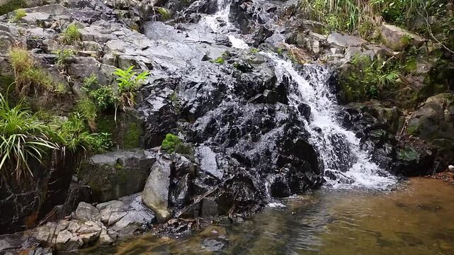 May 10 2025  Siu Chik Sha Waterfall Cascading in Forest Landscape
