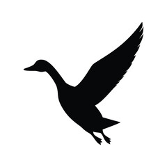Fototapeta premium flying duck silhouette vector line art design