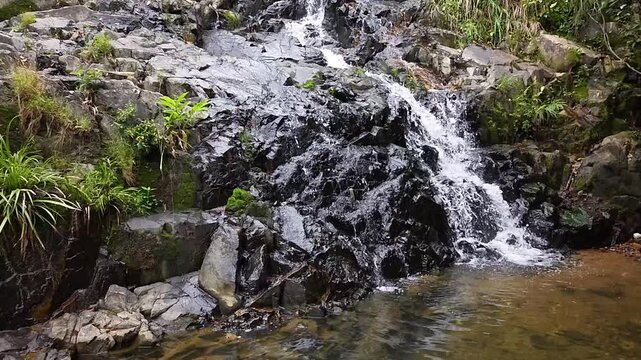 May 10 2025  Siu Chik Sha Waterfall Cascading in Forest Landscape