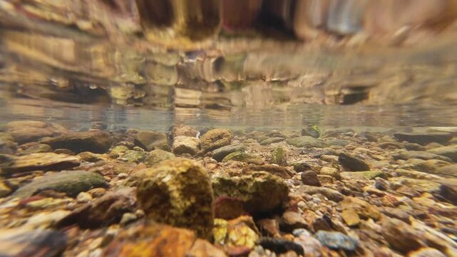 Tranquil Siu Chik Sha River Flowing Through Forest Landscape May 10 2025
