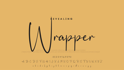 Signature script lettering font.