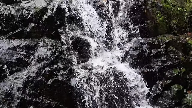 May 10 2025  Siu Chik Sha Waterfall Cascading in Forest Landscape