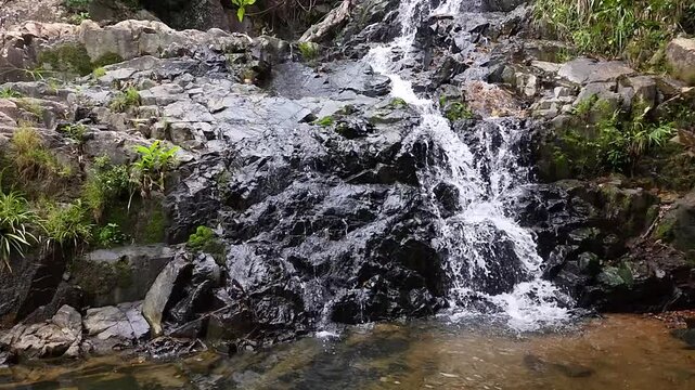May 10 2025  Siu Chik Sha Waterfall Cascading in Forest Landscape