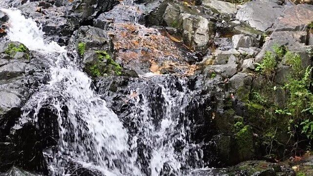 May 10 2025  Siu Chik Sha Waterfall Cascading in Forest Landscape