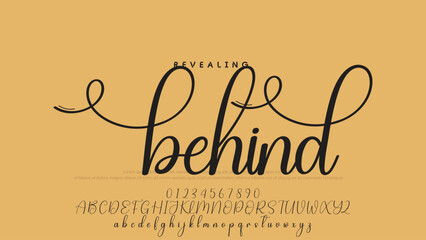 Signature script lettering font.