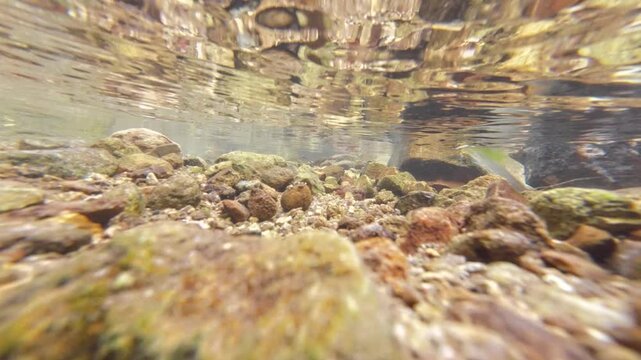 Tranquil Siu Chik Sha River Flowing Through Forest Landscape May 10 2025
