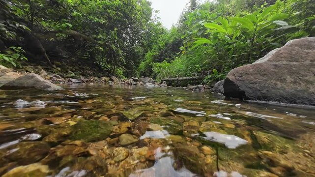 Tranquil Siu Chik Sha River Flowing Through Forest Landscape May 10 2025