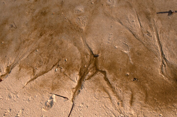 Sand background texture, Abstract sand background, close up of sand pattern