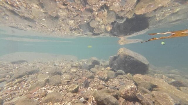 Tranquil Siu Chik Sha River Flowing Through Forest Landscape May 10 2025