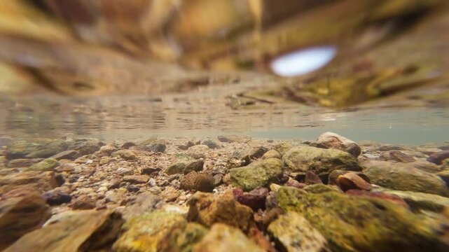 Tranquil Siu Chik Sha River Flowing Through Forest Landscape May 10 2025