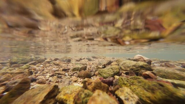 Tranquil Siu Chik Sha River Flowing Through Forest Landscape May 10 2025