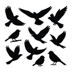 Silhouettes of flying birds in a vector set representing freedom and wildlife