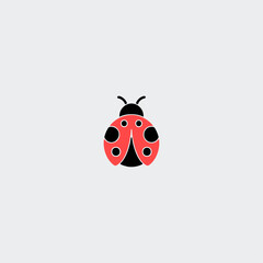 Ladybug icon logo flat vector design
