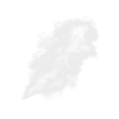 Vector realistic cloud, smoke or fog on isolated transparent background. Cloud png. Cloud, smoke, fog png.