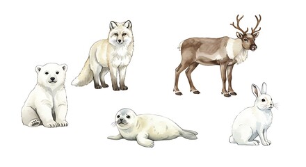Fototapeta premium Arctic Animals Illustration with Polar Bear, Fox, Reindeer, Seal and Hare