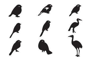 silhouettes of birds