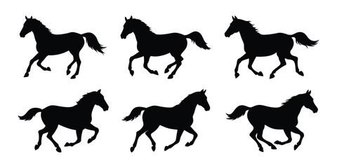 Set of silhouette of horses. Isolated black silhouette of galloping, jumping running, trotting, rearing horse on white background. Side view.