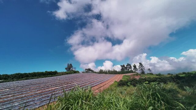 Time Lapse Video, Wavy Clouds Movement Over Farming Fields. 4K Quality Footage