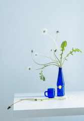 dandelions in blue bottle on blue background