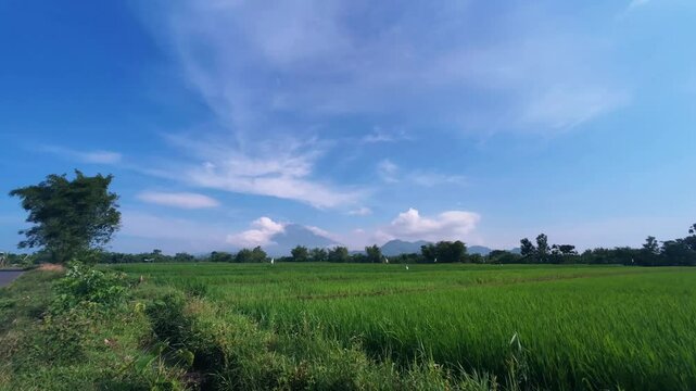 Time lapse view of cloudy blue sky over Indonesian rice fields. 4K quality footage