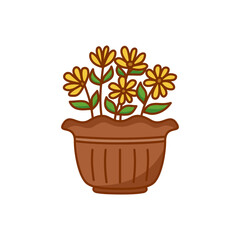 Yellow flowers in pot