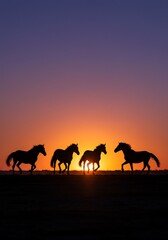 Fototapeta premium Sunset Silhouettes