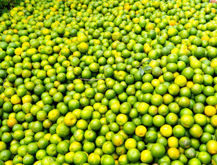 Orange pile in The farm