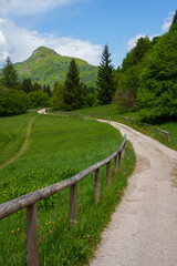 Mountain bike and hiking trail to Monte San Giovanni, Trentino, Italy. Mountain hike on a gravel...