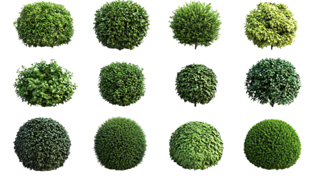 Various types of spherical green plants isolated on transparent or white background. Generative ai