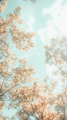 Sunlight filtering through autumn leaves against a soft blue sky
