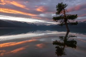 Naturel View of world