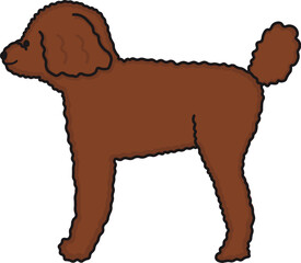 レッドカラーでスクエア体型のトイプードルを横から見たイラスト