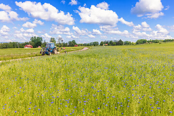 Fototapety na wymiar - Fototapeta24.pl