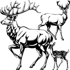 Black and white illustration of a deer family, including a stag, doe, and fawn, standing together in a stylized, detailed graphic with strong shading and line work.