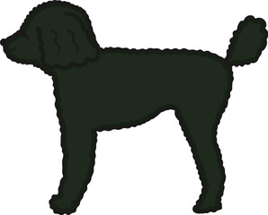 ブラックカラーでハイオン体型のトイプードルを横から見たイラスト